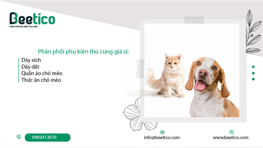 Tìm đại phân phối phụ kiện chó mèo - thú cưng